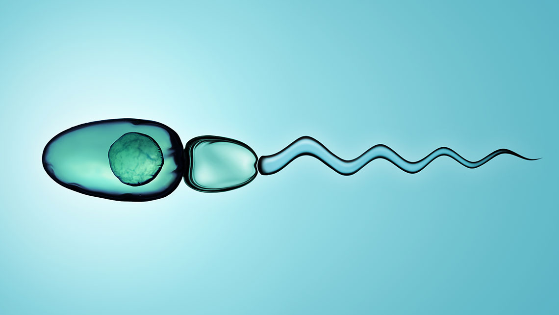 Institut Valencià de Finances Web